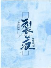 裂痕封面