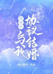 死对头与我协议结婚封面