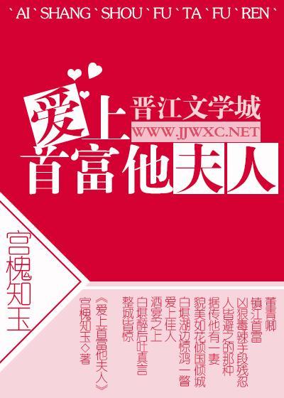 爱上首富他夫人封面