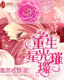 重生星光璀璨封面