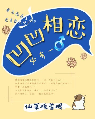 凹凹相恋必有一凸封面