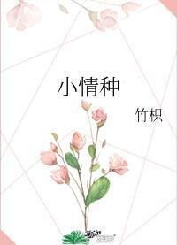 小情种封面