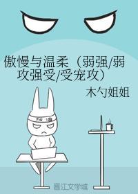 傲慢与温柔封面