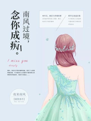 南风过境，念你成痴封面