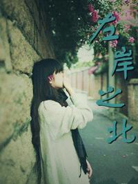 左岸之北封面