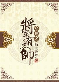 穿越之将军有点帅封面