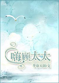 嗨，顾太太封面