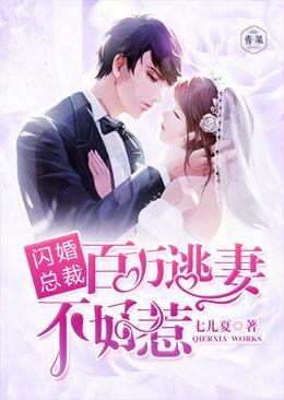 闪婚总裁：百万逃妻不好惹封面