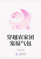 穿越农家团宠福气包封面