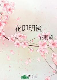 花即明镜封面