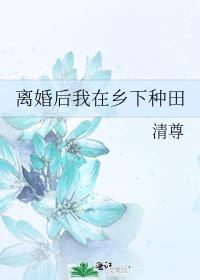 离婚后我在乡下种田封面