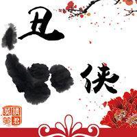 丑侠封面
