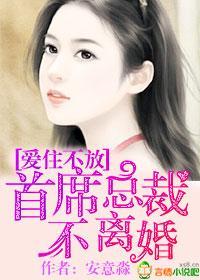 爱住不放，首席总裁不离婚封面