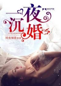 一夜沈婚封面