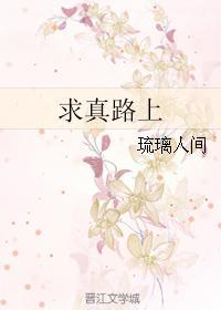 求真路上封面