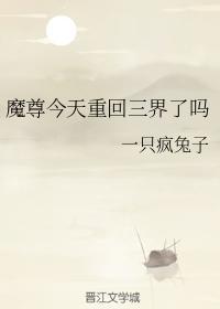 魔尊今天重回三界了吗封面