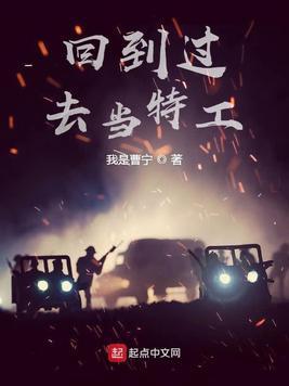 回到过去当特工封面