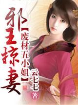 邪王娶妻，废材五小姐封面