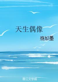 天生偶像封面