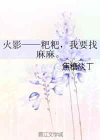 火影——粑粑，我要找麻麻。封面