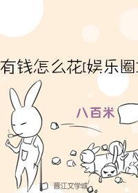 有钱怎么花[娱乐圈]封面