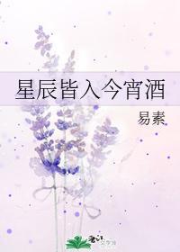 星辰皆入今宵酒封面