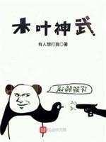 木叶神武封面