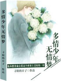 多情少年无情梦封面