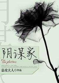 阴谋家封面
