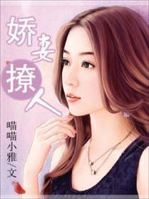 娇妻撩人封面