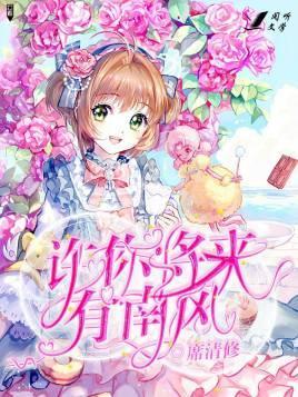 许你将来有南风封面