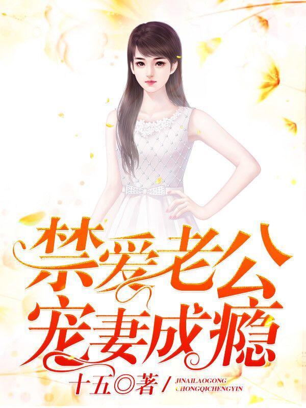 禁爱老公宠妻成瘾封面