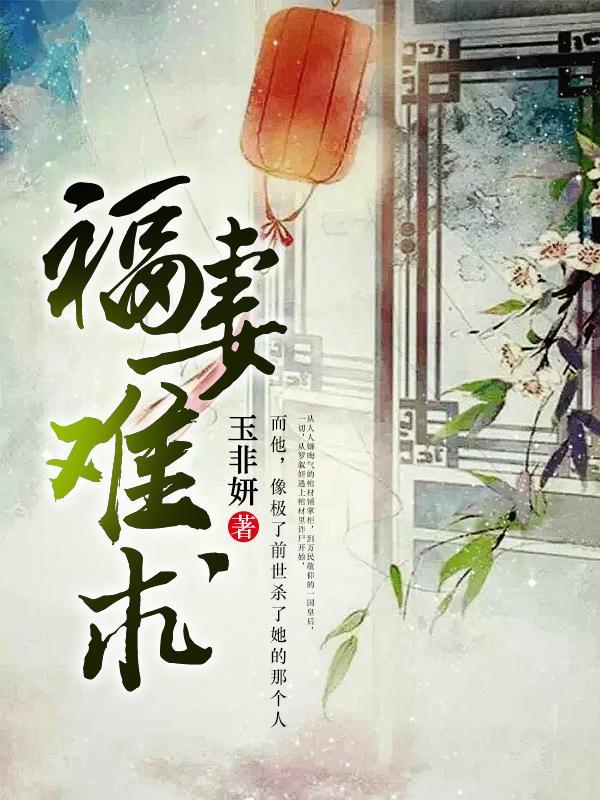 福妻难求封面