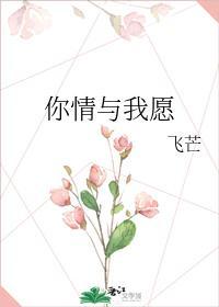 你情与我愿封面