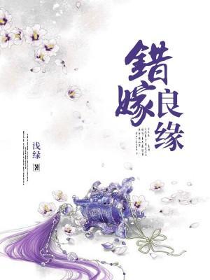 错嫁良缘封面