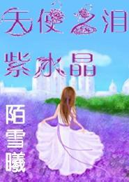 天使之泪——紫水晶封面