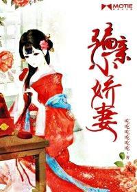 骗亲小娇妻封面