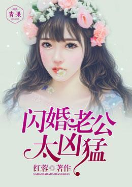 闪婚老公太凶猛封面