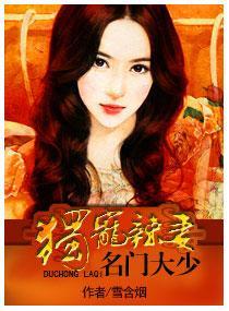名门大少独宠辣妻封面