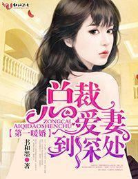 总裁在上：新妻，不要闹封面
