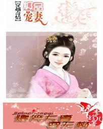 极品宠妻：爆笑夫妻耍无赖封面