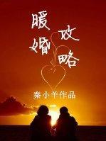 暖婚攻略封面