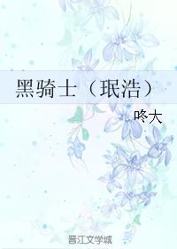 黑骑士（珉浩）封面