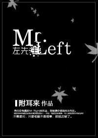 Mr.Left封面