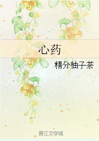 心药封面