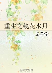 重生之镜花水月封面