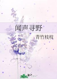 闻声寻野封面