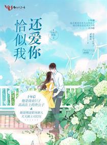 恰似我还爱你封面