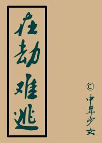 在劫难逃封面
