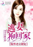 腹黑老公圈宠：逃妻抱回家封面